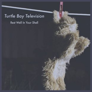Turtle Bay Television