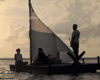 MICHAEL SCHWARTZ The Peanut Butter Falcon interview