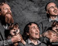 INJURED NINJA New noise