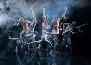 FIRESTARTER – THE STORY OF BANGARRA gets 8/10 Page turner