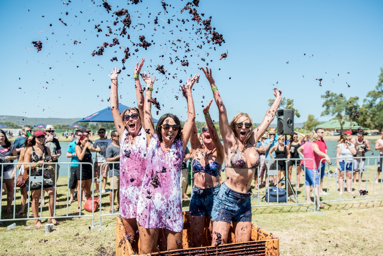 FESTIVAL Throwing Of The Grape XPress Magazine Entertainment in Perth