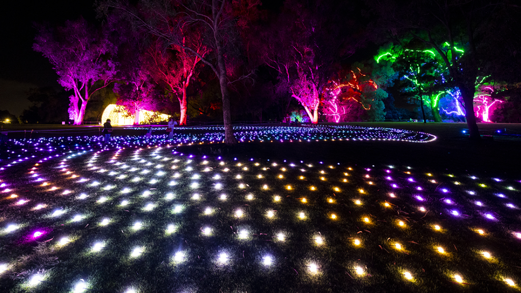 Review Lightscape at Kings Park and Botanic Garden XPress Magazine