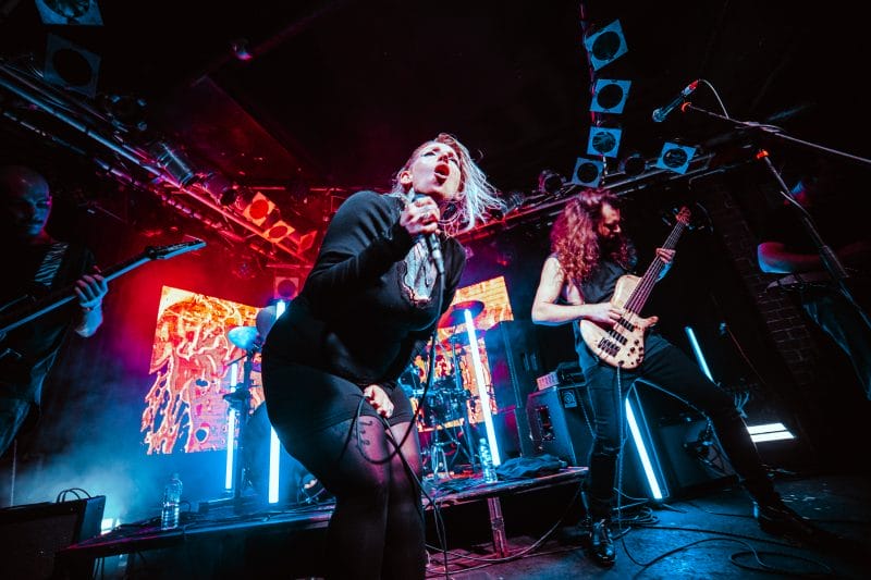 Primrose Path Perth Review: Primrose Path at Amplifier Bar – X-Press Magazine ...